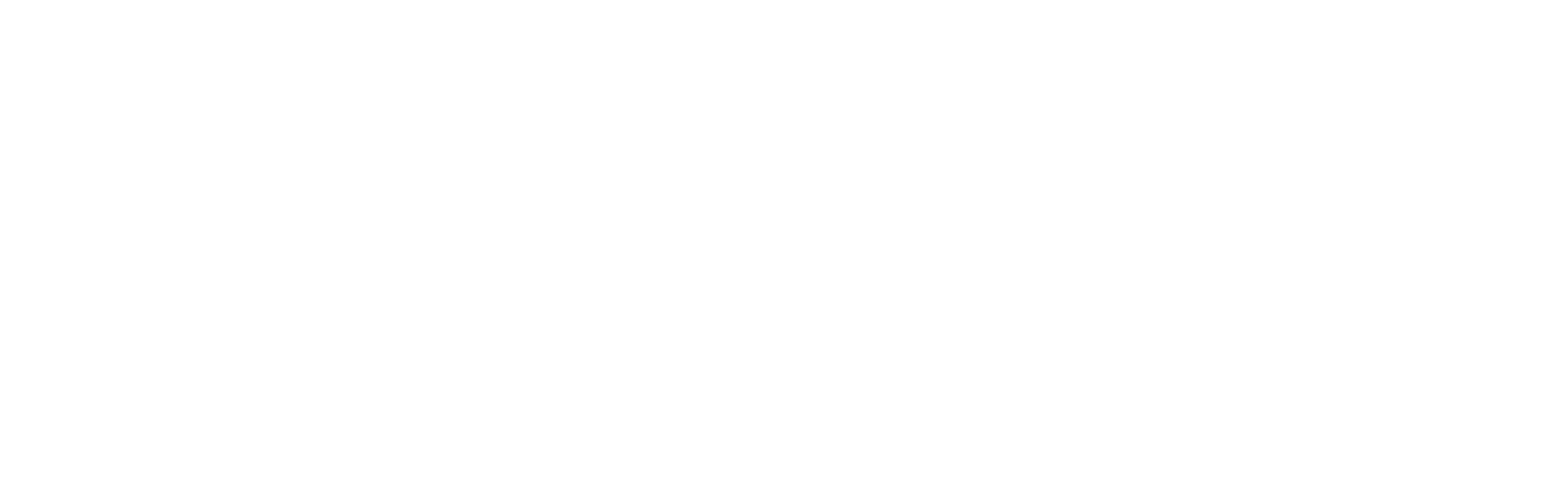 Logo Sitelicon